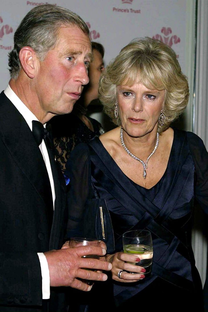 Prince Charles and Camilla Pictures | POPSUGAR Celebrity UK Photo 22