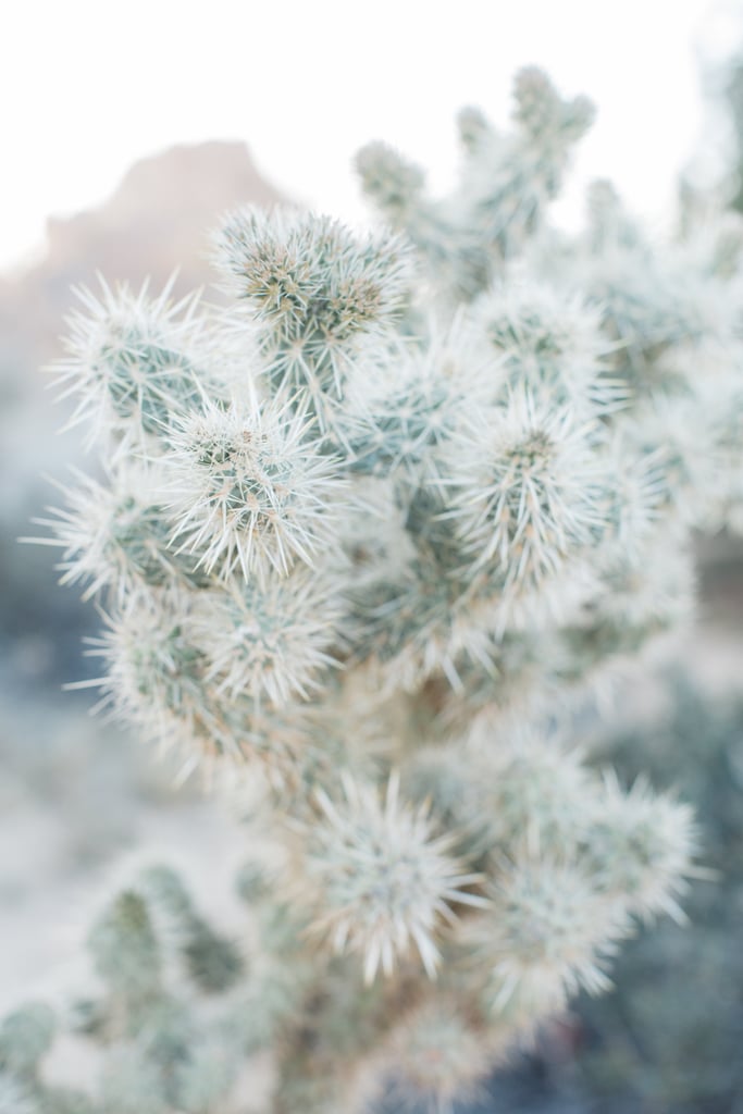 Mojave Desert Engagement Photos