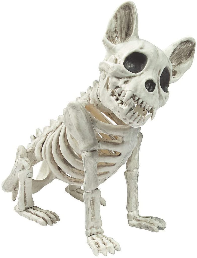 French Bulldog Skeleton