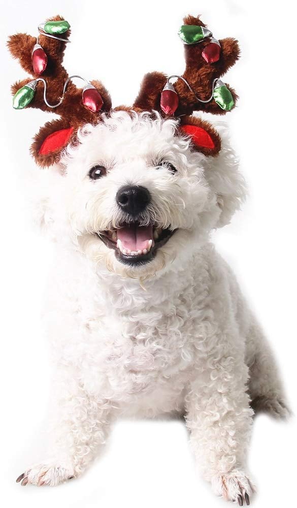 Pet Antler Cap