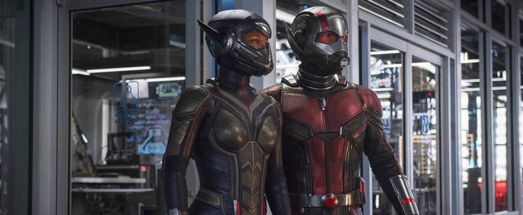 Who Is The Wasp in Ant-Man?