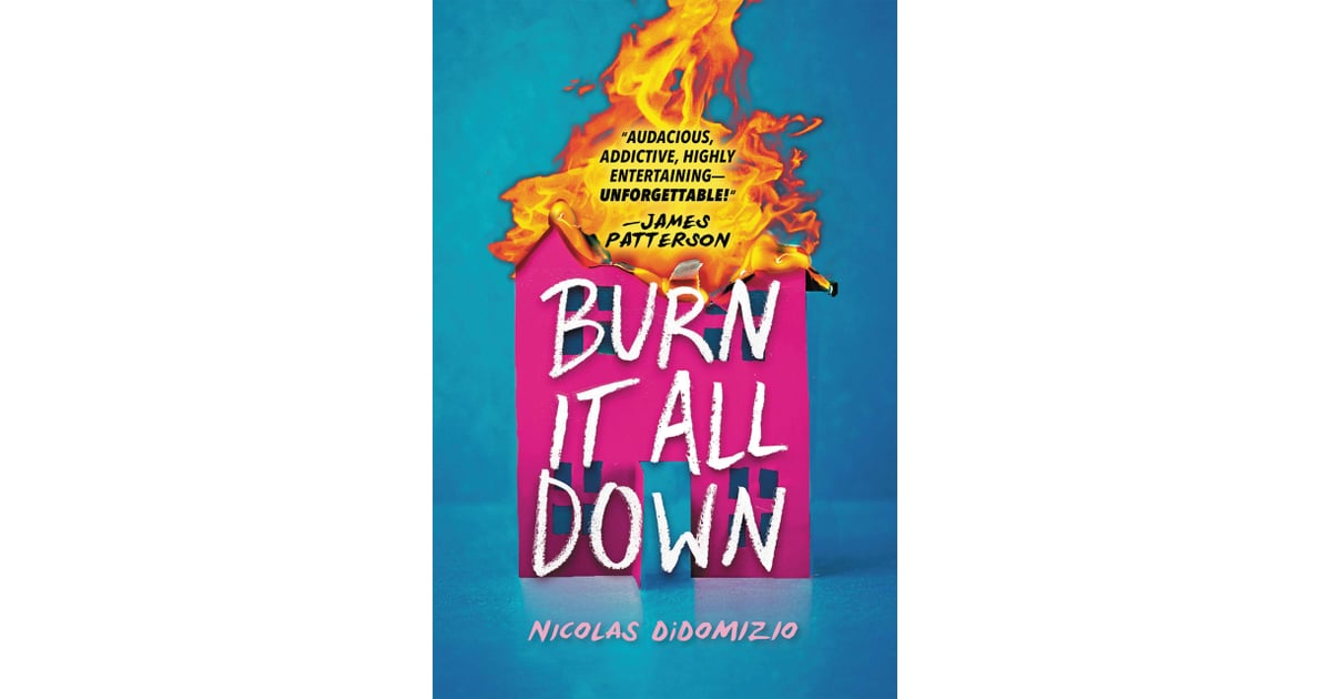 Burn It All Down by Nicolas DiDomizio Best New Books of May 2021