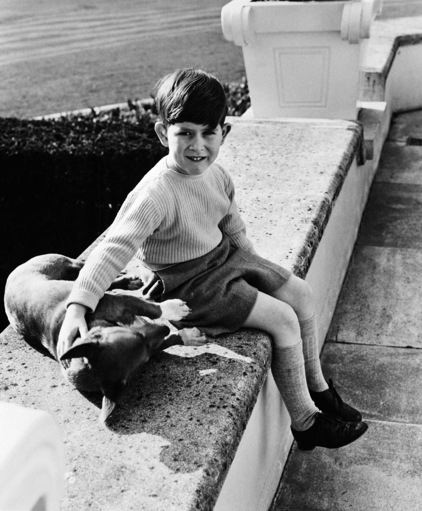 Photos of Prince Charles With Animals