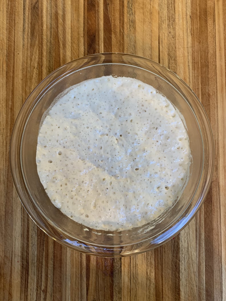 What's in Sourdough Starter?