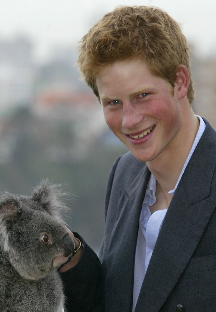 Prince Harry With Animals Pictures