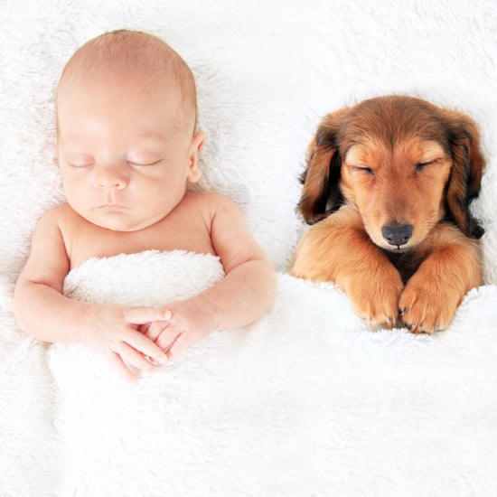 Sleeping Babies on Instagram