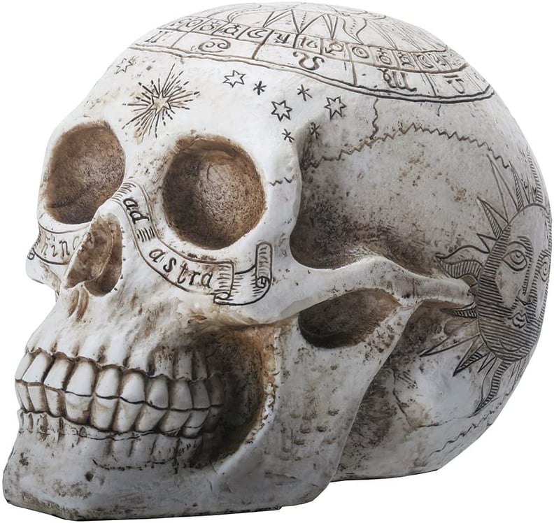 YTC 7.75 Inch Resin Skull With Astrology Engravings