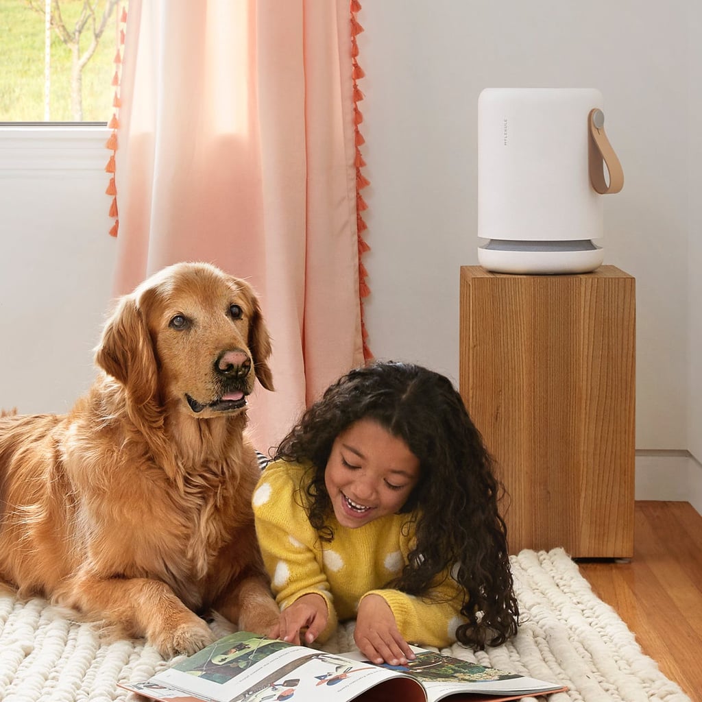 Winix Ultimate Pet Air Purifier with True HEPA Filter Clean the