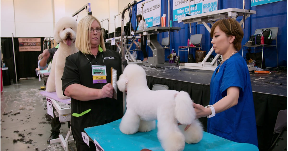 Netflix Dogs Documentary Trailer POPSUGAR Family Photo 13