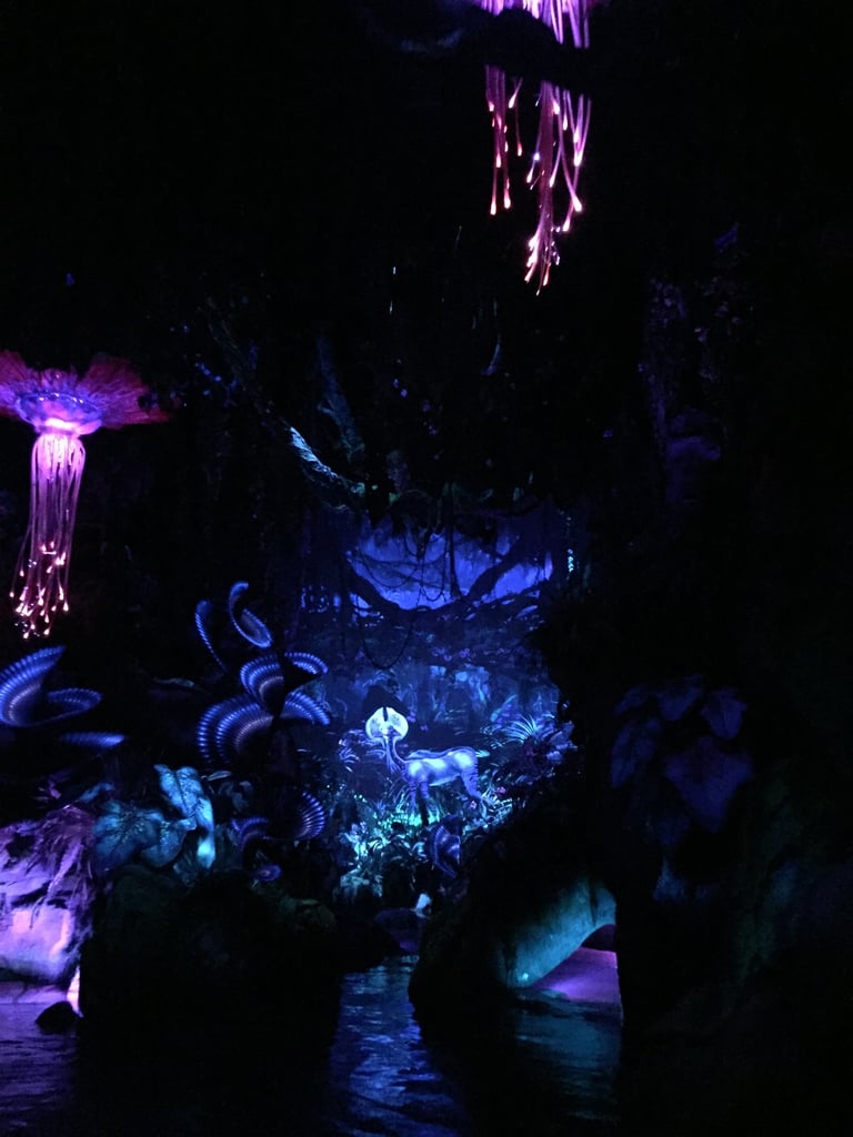 Which Pandora World of Avatar Ride Is For Kids? | POPSUGAR ...
