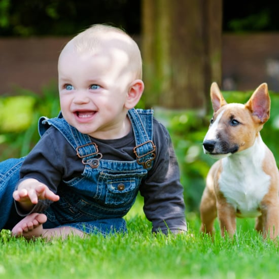 How Having a Pet and Having a Child Differ