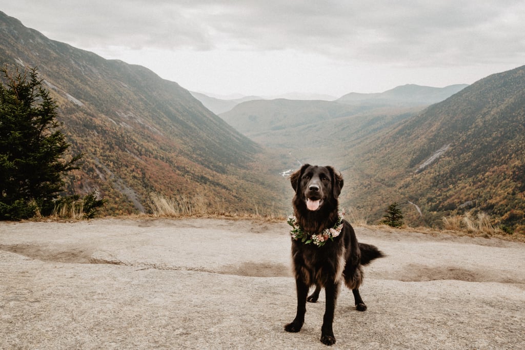 New Hampshire Outdoor Adventure Elopement