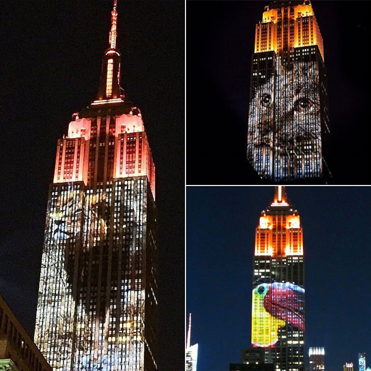 Empire State Building Projects Endangered Animals