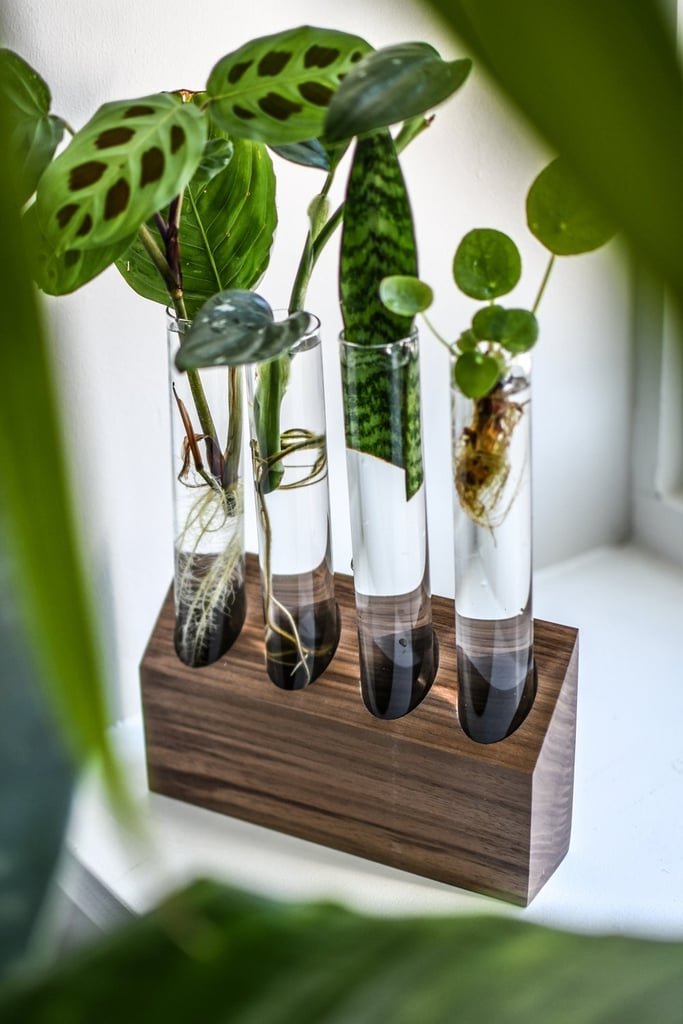 Best Gifts For Gardeners 2018 POPSUGAR Home