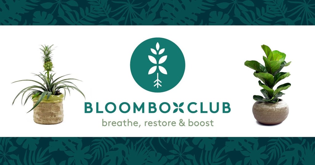 Bloom Box