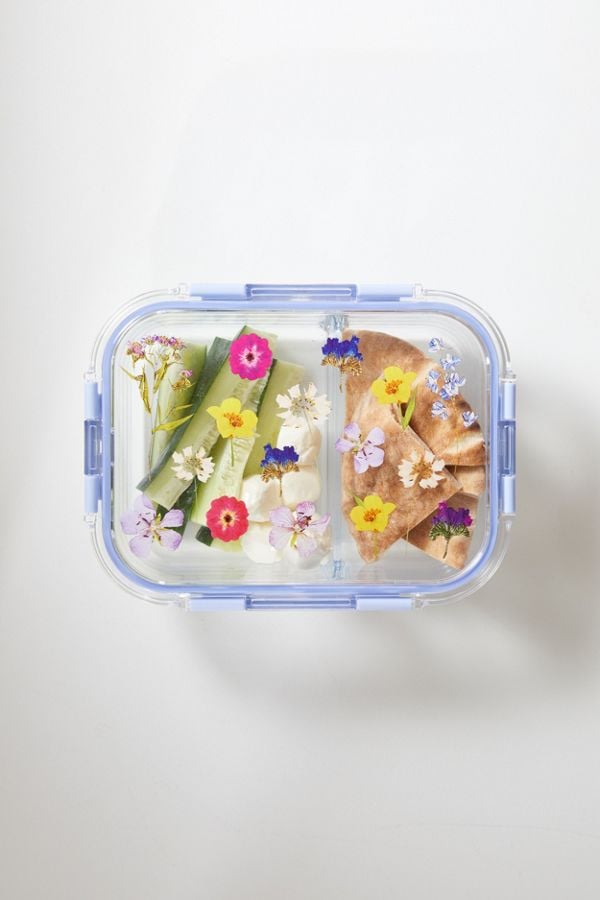 Large Graphic Glass to-Go Container