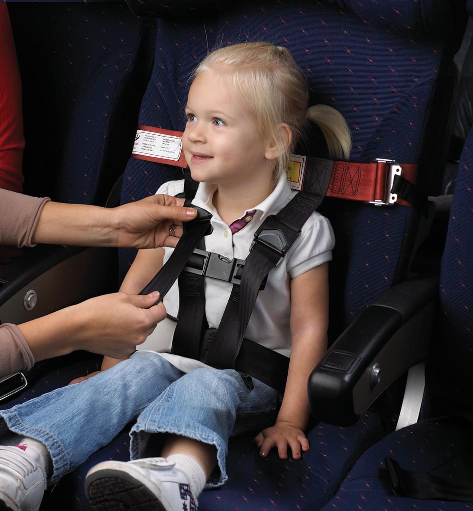 Airplane Safety Harness