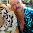 Tiger King: A Guide to Joe Exotic's Many Marriages