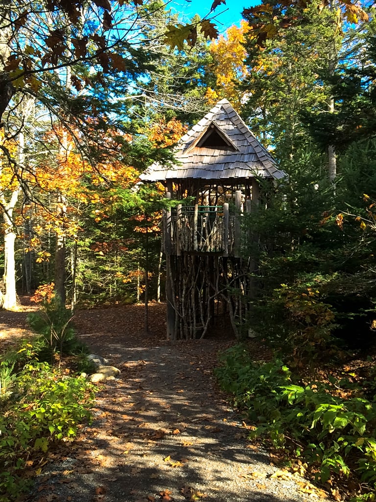 Did I mention there's a charming tree house hidden in the woods? Just another reason to check this place out. If you're looking for the perfect excuse to let your youthful spirit run wild and free, this is it.