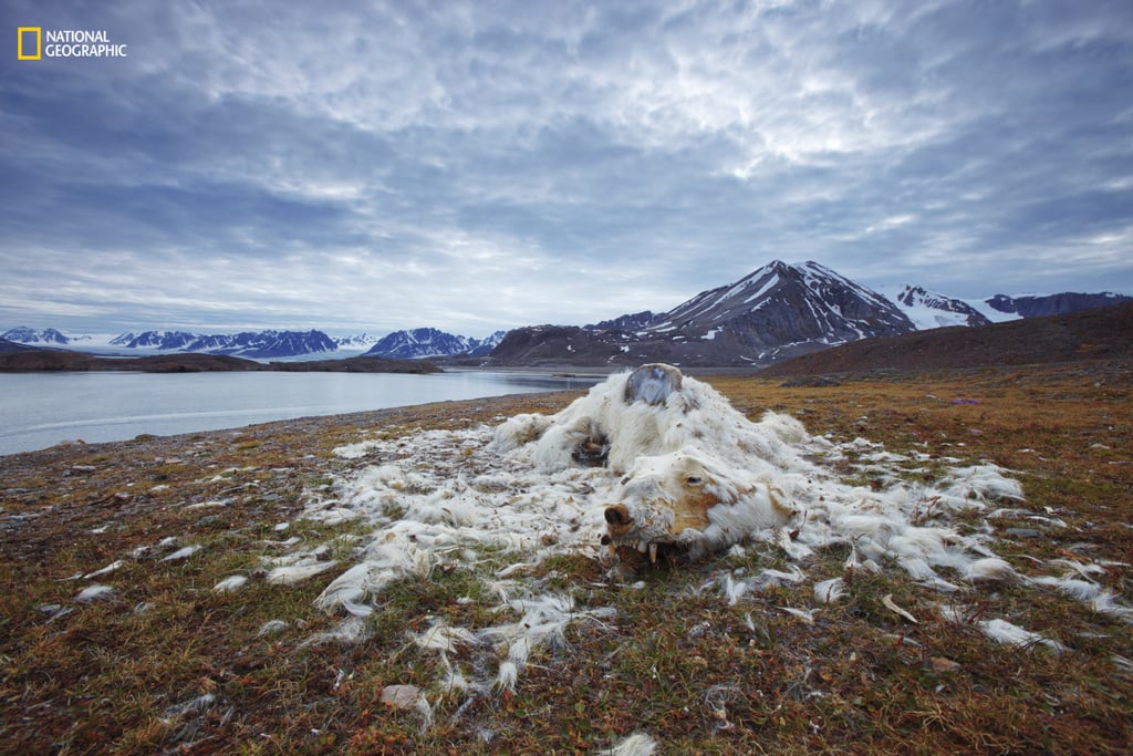 Environmental Issues, First Place — Life and Death