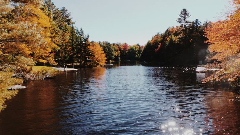 Pisces (Feb. 19-March 20): Paddleboating