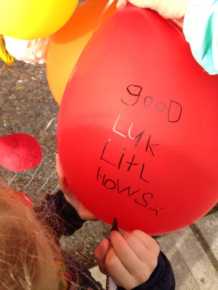 "Good luk, litl hows :( "