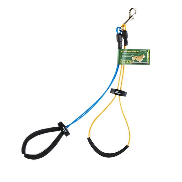 Proguard Pet Products No-Sit Haunch Holder Dog Grooming Restraint