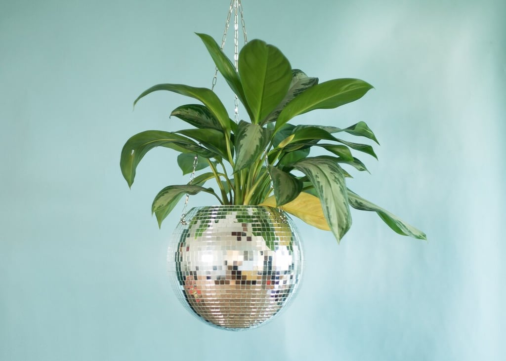 Home Gifts: Dado Disco Ball Plant Hanger