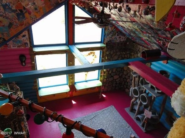 Cat House in Arizona
