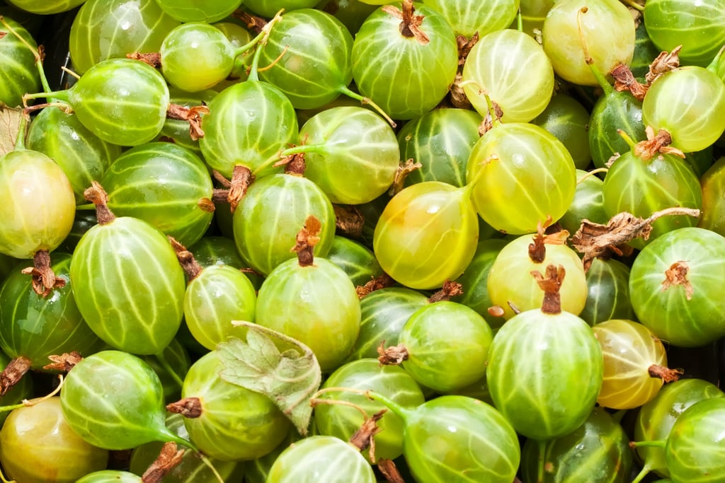 Gooseberries