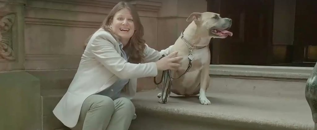Funny Pit Bull Owner Video