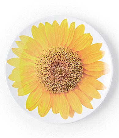 Accent Salad Plate ($14)