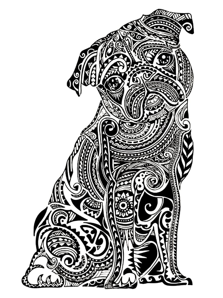 Download Get the coloring page: Pug | Free Printable Adult Coloring ...