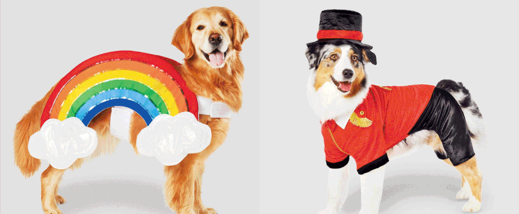 Best Dog Costumes for Large, Medium and Small Dogs