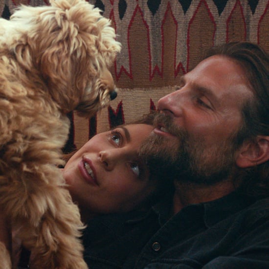 Is Bradley Cooper's Dog in A Star Is Born?