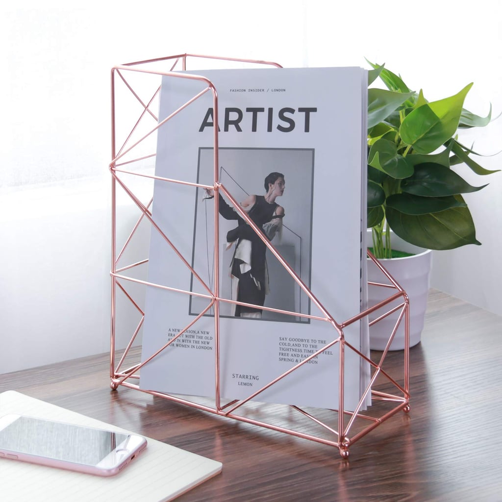 Large Desktop Magazine Holder Rack Best Home Organizers on Amazon