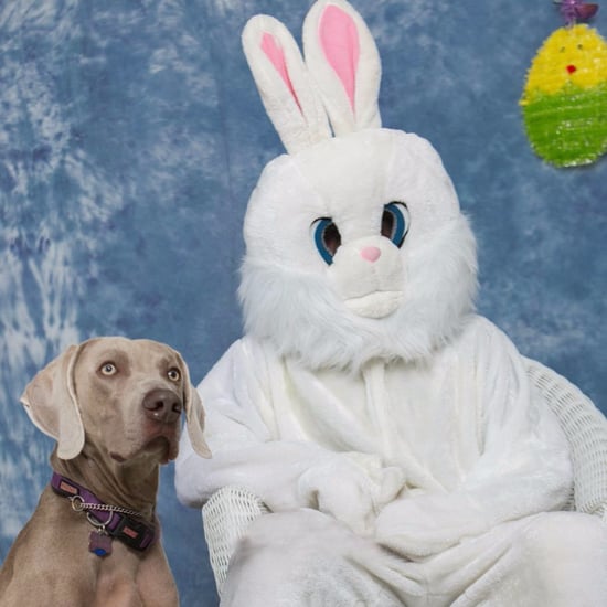 Funniest Easter Fails