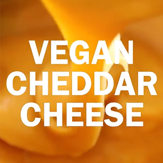 Vegan Nut-Free Cheese Sauce Recipe