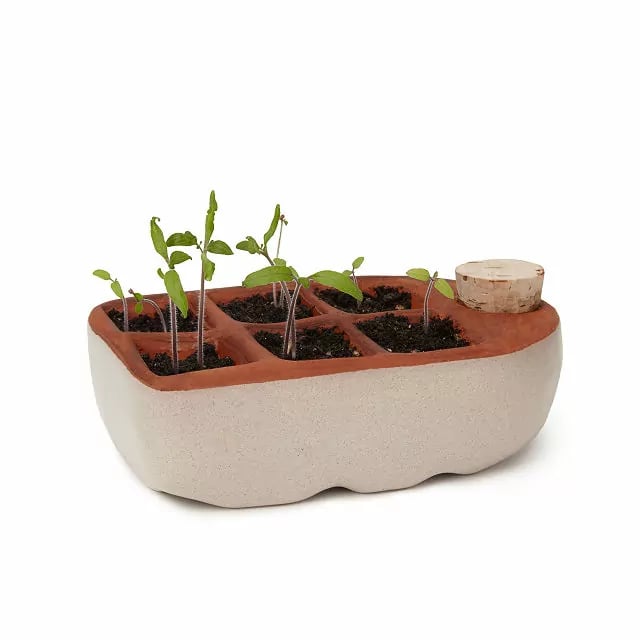 For Plant Parents: Self-Watering Seedling Starter