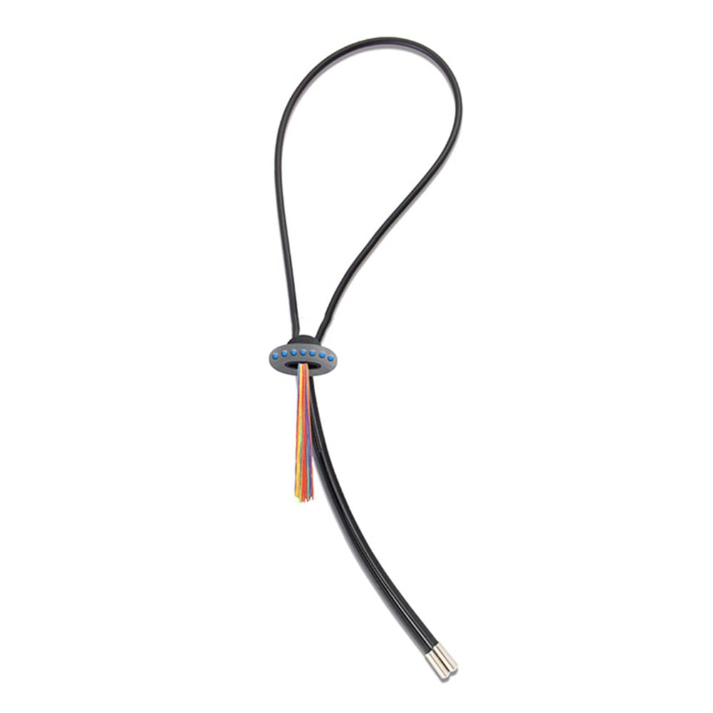 Bolo Tie