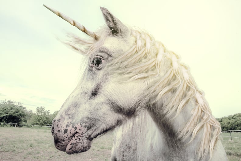Scotland's Official Animal Is the Unicorn