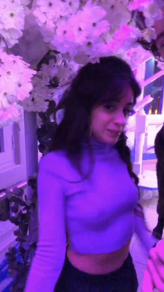 Camila Cabello Has A Cinderella Themed 23rd Birthday Party Popsugar Celebrity