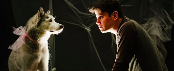Romantic Movies Reenacted by Dogs