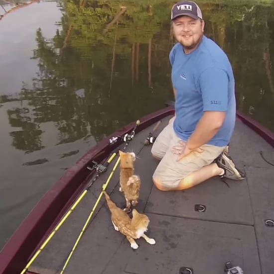 Kittens Rescued From Alabama River | Video