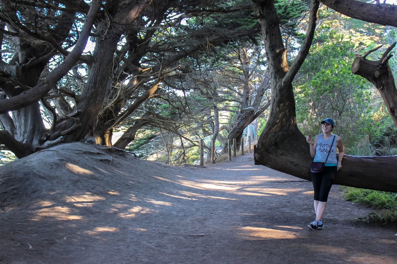 Lands End Trail