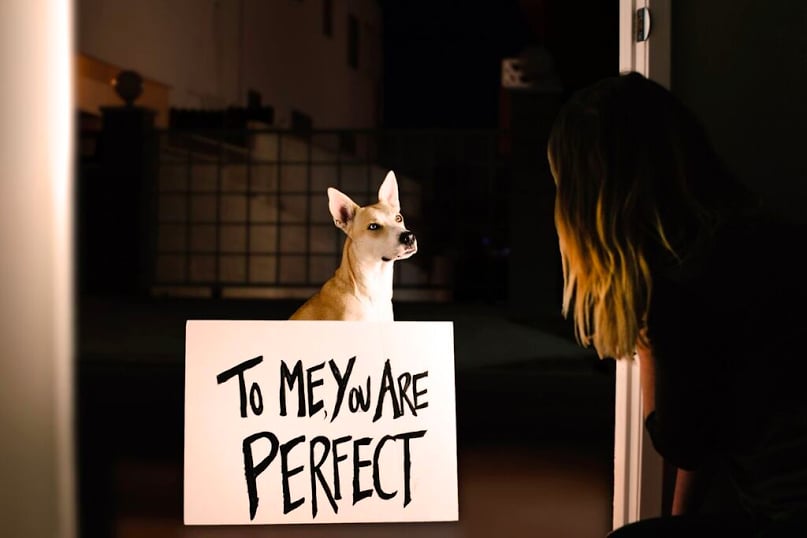 Love Actually