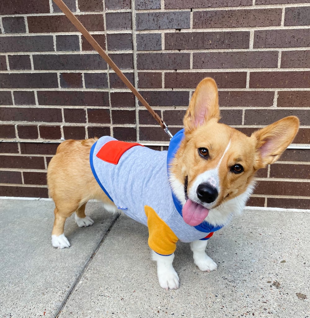 FUNKY DOG  - FUNKY DOG LOGO Hoodie