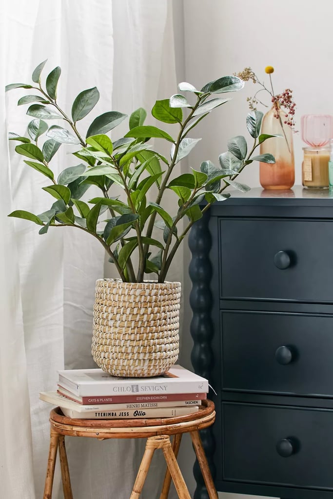 Best Plant Gifts Best Plant Gifts