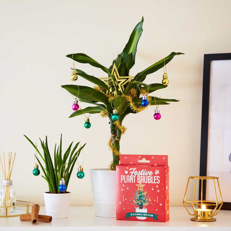 Festive Plant Baubles