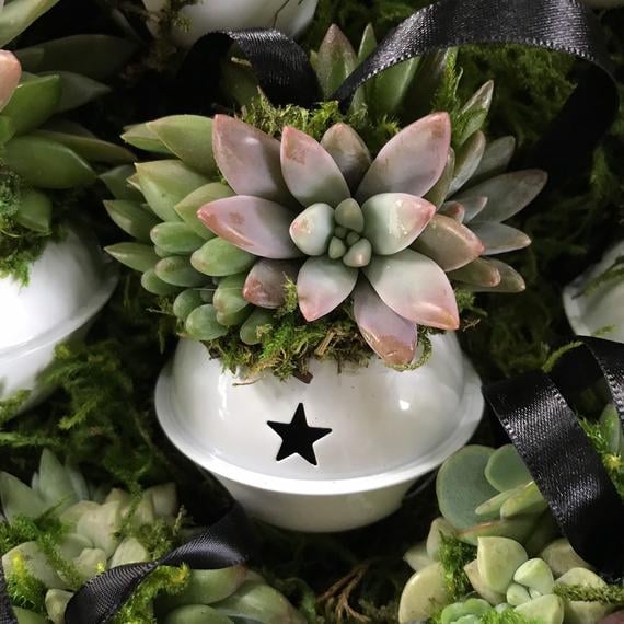 Succulent Jingle Bell Ornament
